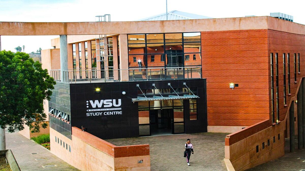 wsu student email login Page 1